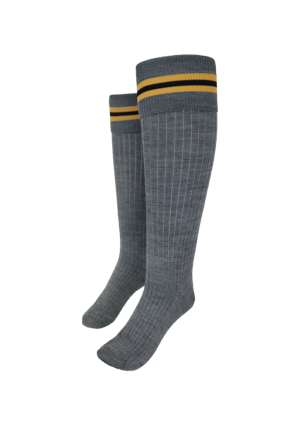 Awatapu College School Sock