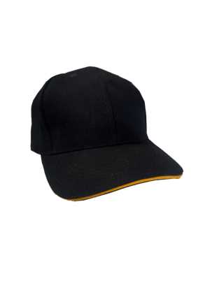 Awatapu College Cap